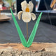Custom Torchworked Glass Flowers – Handmade in Alberta
