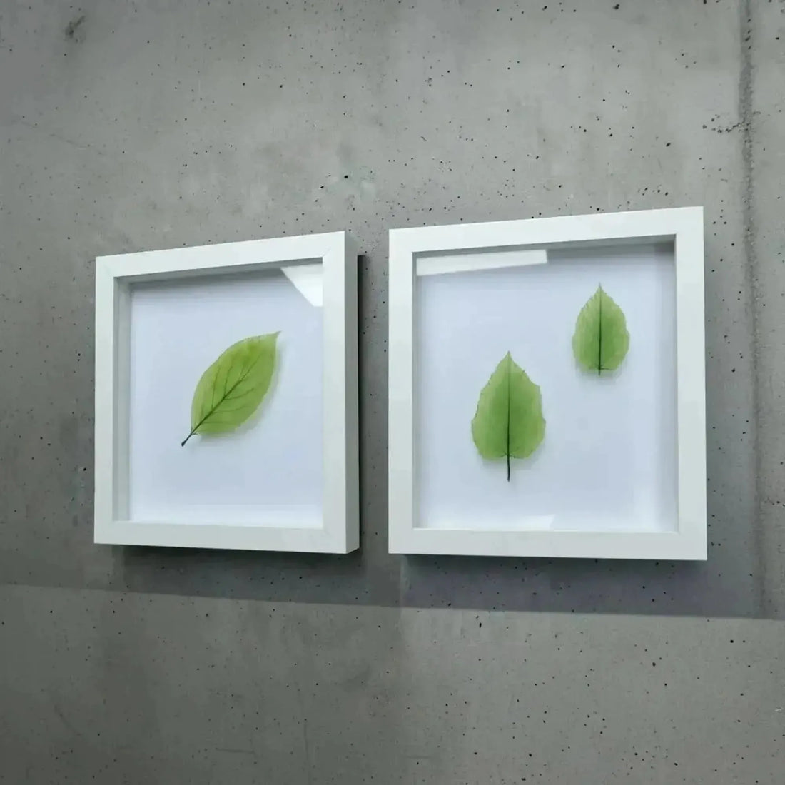"In Plain Sight" Airdrie Exhibit Showcases Exquisite Glass Leaves