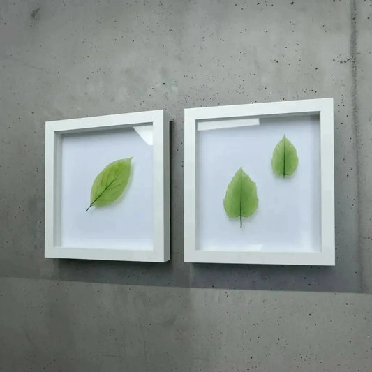 "In Plain Sight" Airdrie Exhibit Showcases Exquisite Glass Leaves