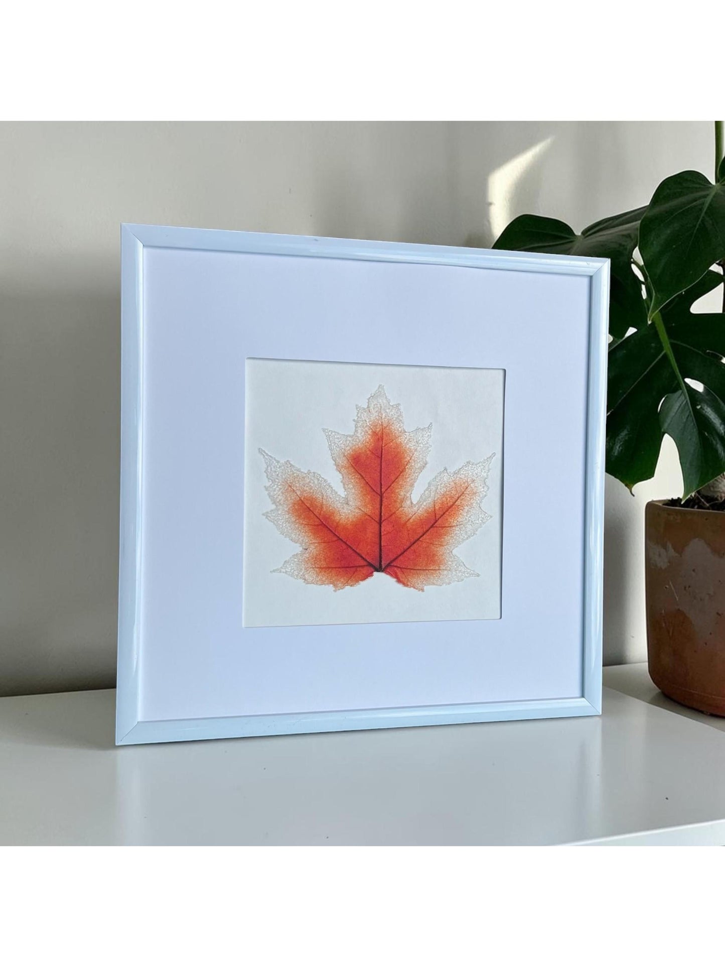 Red Glass Maple Leaf – Framed Botanical Glass Art