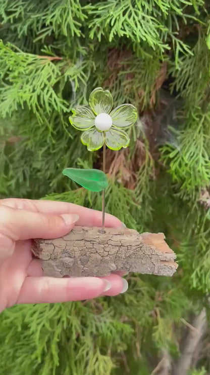 Green Glass Flower Sculpture | Lampworked Botanical Glass Art | Canadian Wildflower Inspired